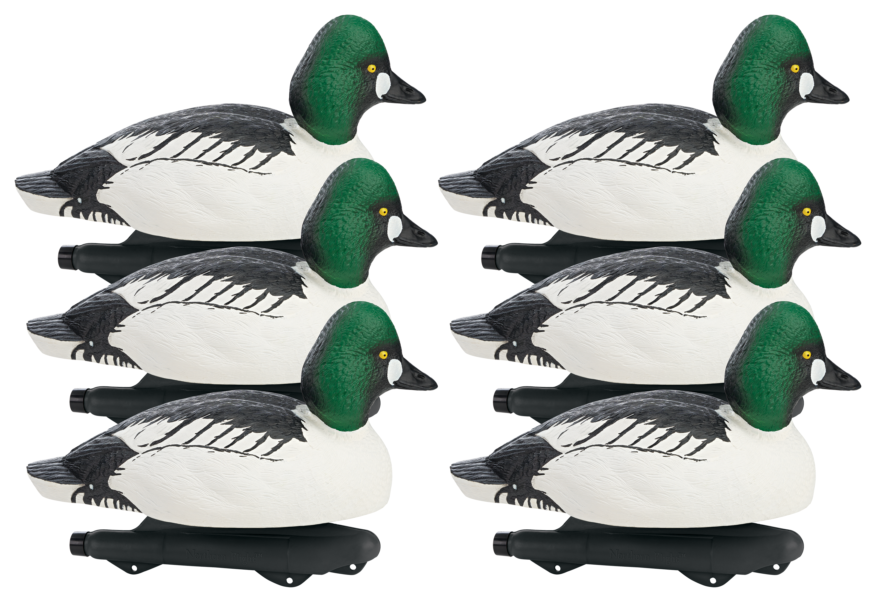 Northern Flight Goldeneye Duck Decoys Cabela's